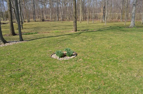 Property photo 25 - 3.4 Acres Offered in 2 Tracts - 3 Bedroom Ranch Home plus Additional Lot